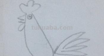 鸡怎么画 彩铅(鸡怎么画彩铅) 鸡怎么画 彩铅(鸡怎么画彩铅)