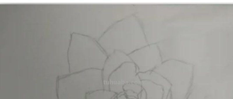花朵怎么画 彩铅(花朵怎么画彩铅画) 花朵怎么画 彩铅(花朵怎么画彩铅画)