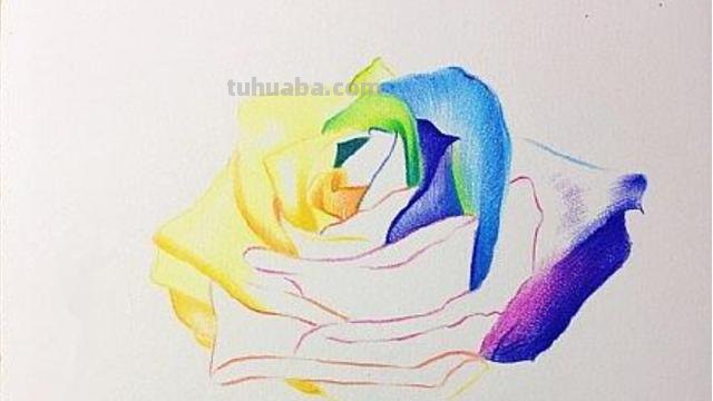 花朵怎么画 彩铅(花朵怎么画彩铅画) 花朵怎么画 彩铅(花朵怎么画彩铅画)