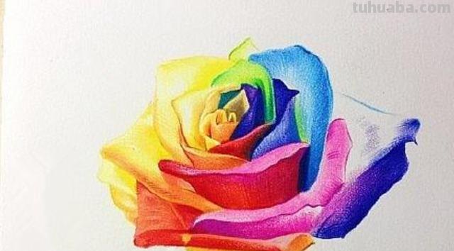 花朵怎么画 彩铅(花朵怎么画彩铅画) 花朵怎么画 彩铅(花朵怎么画彩铅画)