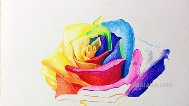 花朵怎么画 彩铅(花朵怎么画彩铅画) 花朵怎么画 彩铅(花朵怎么画彩铅画)