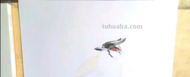 怎么彩铅画鸟(彩铅画鸟怎么画) 怎么彩铅画鸟(彩铅画鸟怎么画)