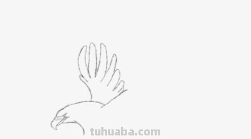 怎么彩铅画鸟(彩铅画鸟怎么画) 怎么彩铅画鸟(彩铅画鸟怎么画)