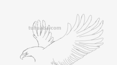 怎么彩铅画鸟(彩铅画鸟怎么画) 怎么彩铅画鸟(彩铅画鸟怎么画)