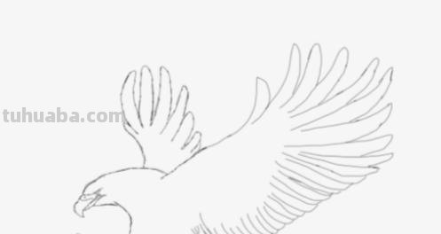 怎么彩铅画鸟(彩铅画鸟怎么画) 怎么彩铅画鸟(彩铅画鸟怎么画)