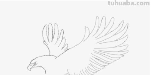 怎么彩铅画鸟(彩铅画鸟怎么画) 怎么彩铅画鸟(彩铅画鸟怎么画)