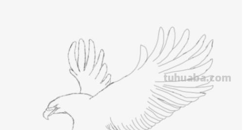 怎么彩铅画鸟(彩铅画鸟怎么画) 怎么彩铅画鸟(彩铅画鸟怎么画)