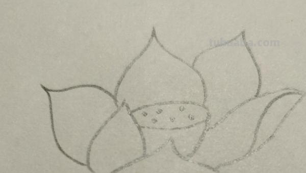 彩铅红莲怎么画(彩铅红莲怎么画好看) 彩铅红莲怎么画(彩铅红莲怎么画好看)