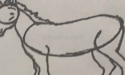 马车怎么画简笔画(马车怎么画简笔画步骤) 马车怎么画简笔画(马车怎么画简笔画步骤)