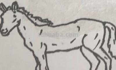 马车怎么画简笔画(马车怎么画简笔画步骤) 马车怎么画简笔画(马车怎么画简笔画步骤)