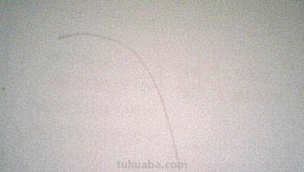 瀑布怎么画简笔画（紫藤萝瀑布怎么画简笔画）