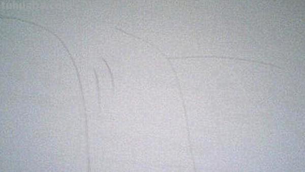 瀑布怎么画简笔画（紫藤萝瀑布怎么画简笔画）