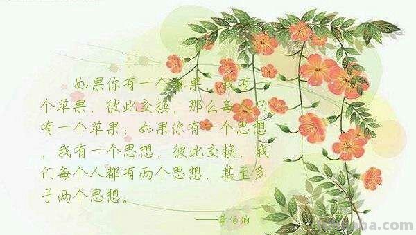 黄山镇蒋史汪小学 :畅游英文阅读,制作精彩读书卡活动 黄山镇蒋史汪小学 :畅游英文阅读,制作精彩读书卡活动
