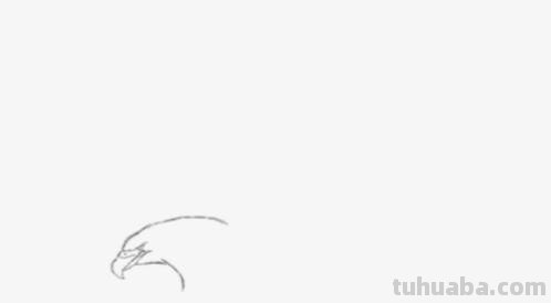 怎么画彩铅老鹰（怎么画彩铅老鹰图片）
