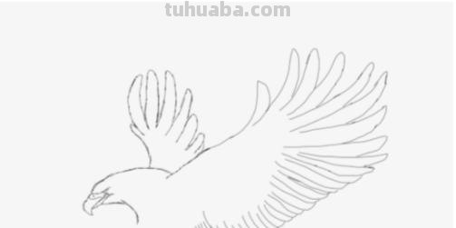 怎么画彩铅老鹰（怎么画彩铅老鹰图片）