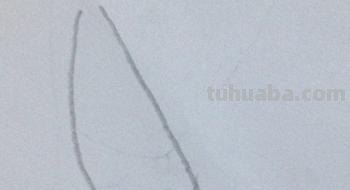 母鸡怎么画简笔画(母鸡怎么画简笔画简单又漂亮) 母鸡怎么画简笔画(母鸡怎么画简笔画简单又漂亮)
