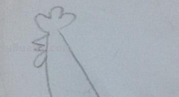 母鸡怎么画简笔画(母鸡怎么画简笔画简单又漂亮) 母鸡怎么画简笔画(母鸡怎么画简笔画简单又漂亮)