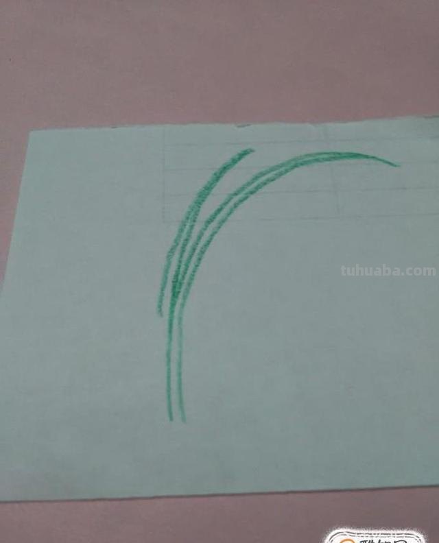 彩铅怎么画兰花(彩铅怎么画兰花简单) 彩铅怎么画兰花(彩铅怎么画兰花简单)