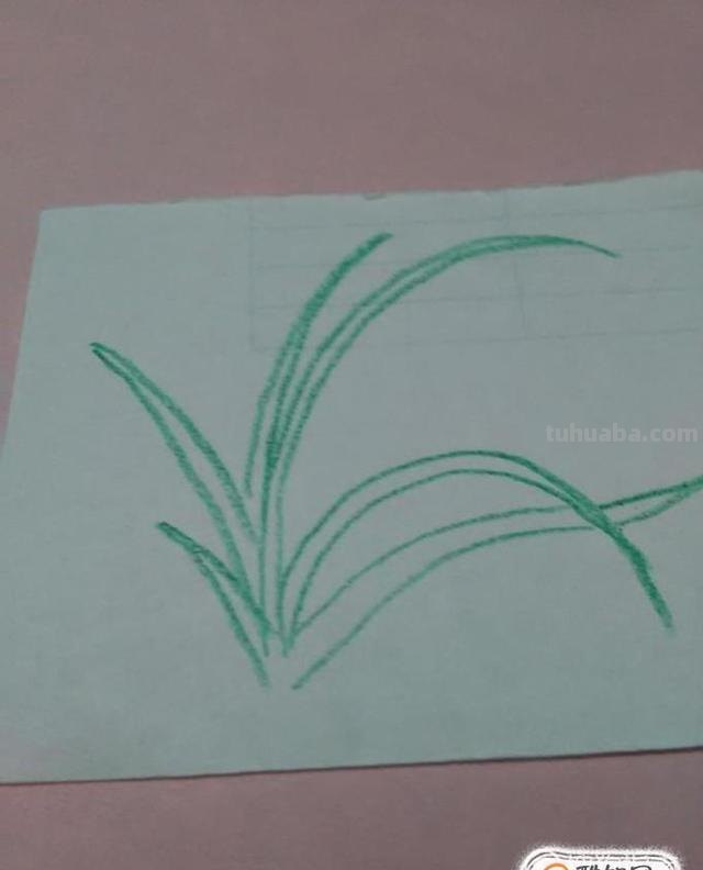 彩铅怎么画兰花(彩铅怎么画兰花简单) 彩铅怎么画兰花(彩铅怎么画兰花简单)