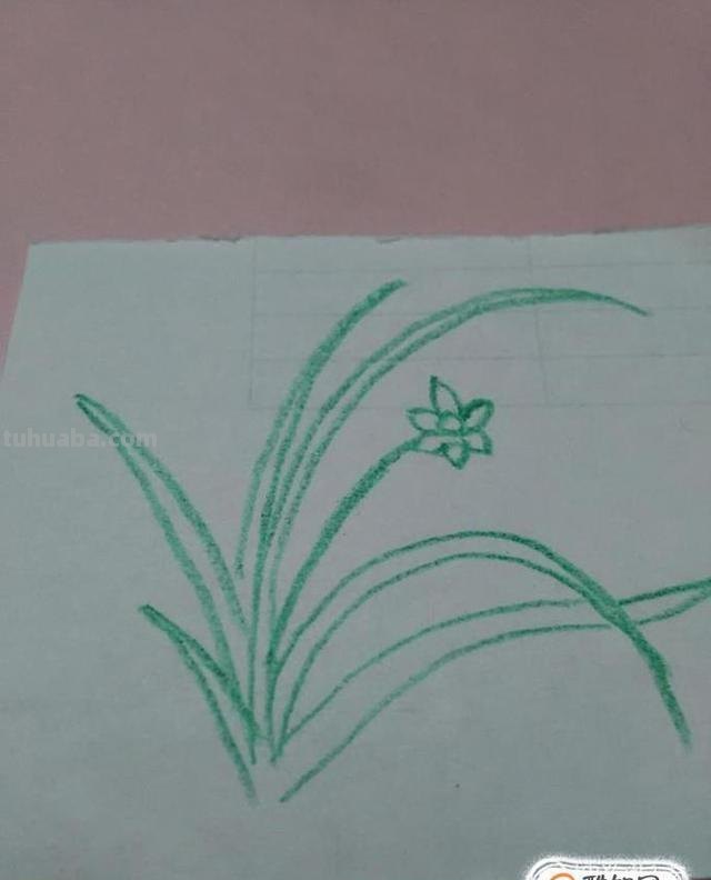 彩铅怎么画兰花(彩铅怎么画兰花简单) 彩铅怎么画兰花(彩铅怎么画兰花简单)