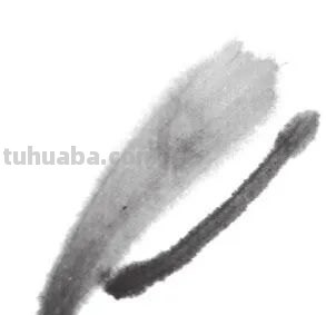 彩铅怎么画兰花(彩铅怎么画兰花简单) 彩铅怎么画兰花(彩铅怎么画兰花简单)