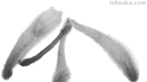 彩铅怎么画兰花(彩铅怎么画兰花简单) 彩铅怎么画兰花(彩铅怎么画兰花简单)