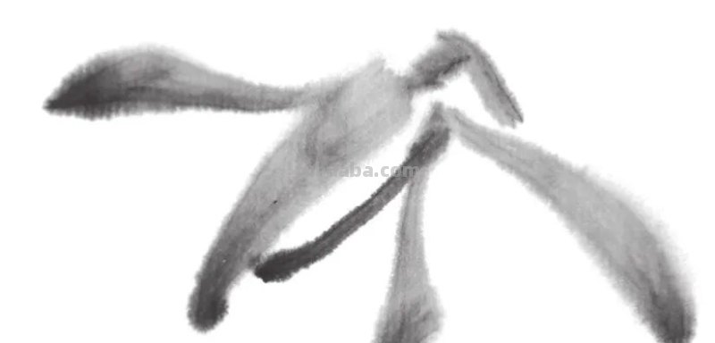 彩铅怎么画兰花(彩铅怎么画兰花简单) 彩铅怎么画兰花(彩铅怎么画兰花简单)