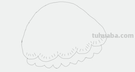 水母怎么画简笔画(海绵宝宝里面的水母怎么画简笔画) 水母怎么画简笔画(海绵宝宝里面的水母怎么画简笔画)