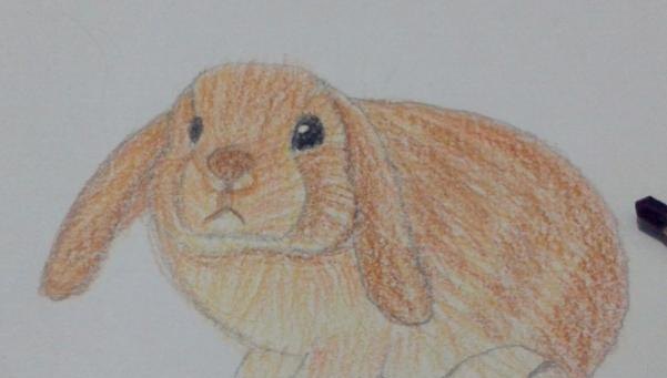 彩铅速写动物(彩铅速写动物图片) 彩铅速写动物(彩铅速写动物图片)