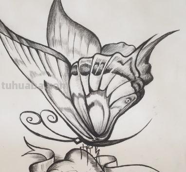 蝴蝶怎么画彩铅（蝴蝶怎么画彩铅画）