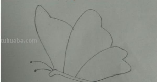 蝴蝶怎么画彩铅(蝴蝶怎么画彩铅画) 蝴蝶怎么画彩铅(蝴蝶怎么画彩铅画)