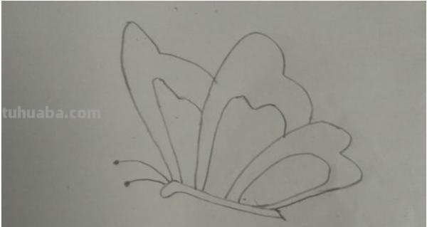 蝴蝶怎么画彩铅(蝴蝶怎么画彩铅画) 蝴蝶怎么画彩铅(蝴蝶怎么画彩铅画)