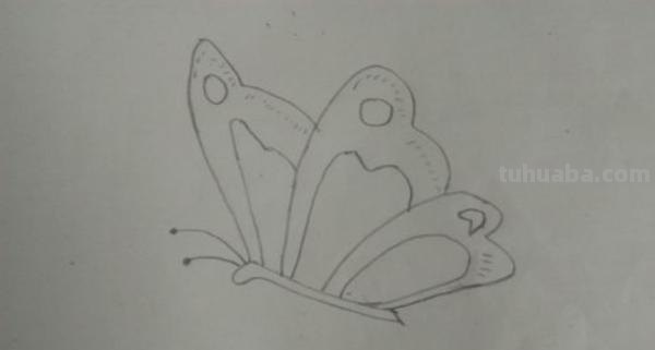 蝴蝶怎么画彩铅(蝴蝶怎么画彩铅画) 蝴蝶怎么画彩铅(蝴蝶怎么画彩铅画)