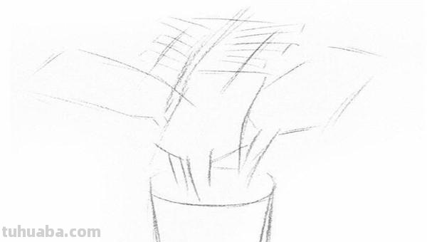 椰树怎么画彩铅(椰树怎么画彩铅画) 椰树怎么画彩铅(椰树怎么画彩铅画)