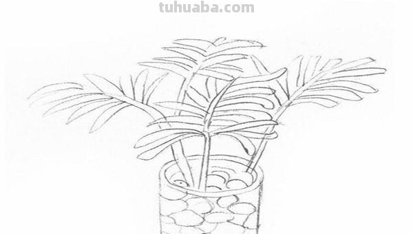 椰树怎么画彩铅(椰树怎么画彩铅画) 椰树怎么画彩铅(椰树怎么画彩铅画)