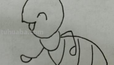怎么画蚂蚁的简笔画(怎么画蚂蚁的简笔画图片) 怎么画蚂蚁的简笔画(怎么画蚂蚁的简笔画图片)
