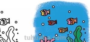 海星怎么画简笔画(海星怎么画简笔画图片) 海星怎么画简笔画(海星怎么画简笔画图片)