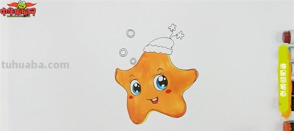 海星怎么画简笔画(海星怎么画简笔画图片) 海星怎么画简笔画(海星怎么画简笔画图片)