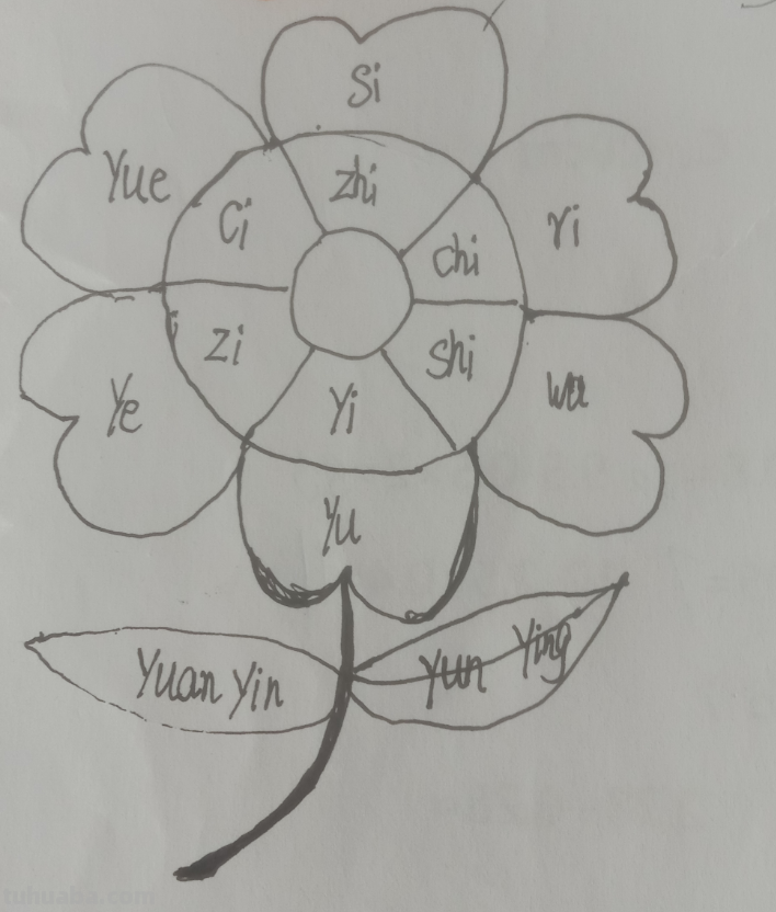 花的思维导图怎么画（凤仙花的思维导图怎么画）