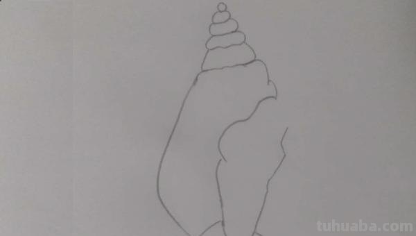 海螺怎么画简笔画(海螺怎么画简笔画图片) 海螺怎么画简笔画(海螺怎么画简笔画图片)