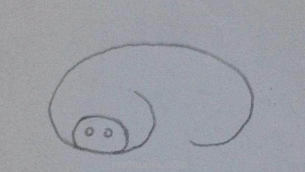 猪头怎么画简笔画(猪头怎么画简笔画可爱) 猪头怎么画简笔画(猪头怎么画简笔画可爱)
