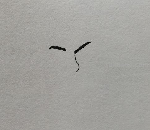打篮球动态速写（打篮球动态速写图片）