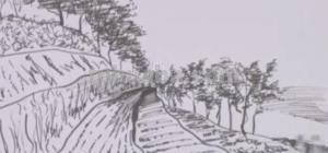 稻田怎么画简笔画(稻田怎么画简笔画图片) 稻田怎么画简笔画(稻田怎么画简笔画图片)