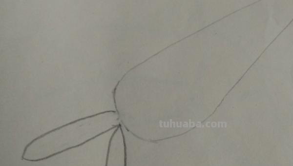 胡萝卜怎么画简笔画() 胡萝卜怎么画简笔画()