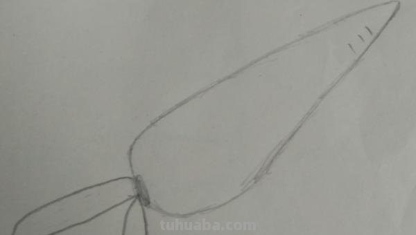 胡萝卜怎么画简笔画() 胡萝卜怎么画简笔画()