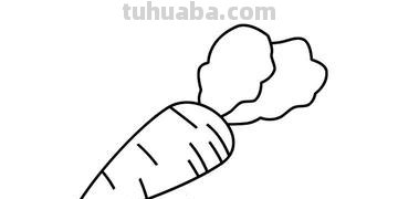 胡萝卜怎么画简笔画() 胡萝卜怎么画简笔画()