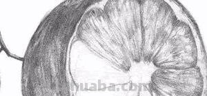 橙子怎么画 彩铅(橙子怎么画彩铅) 橙子怎么画 彩铅(橙子怎么画彩铅)
