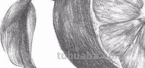 橙子怎么画 彩铅(橙子怎么画彩铅) 橙子怎么画 彩铅(橙子怎么画彩铅)
