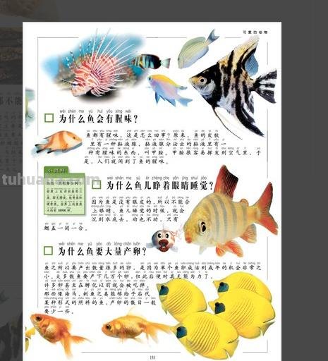 儿童十万个为什么思维导图（）