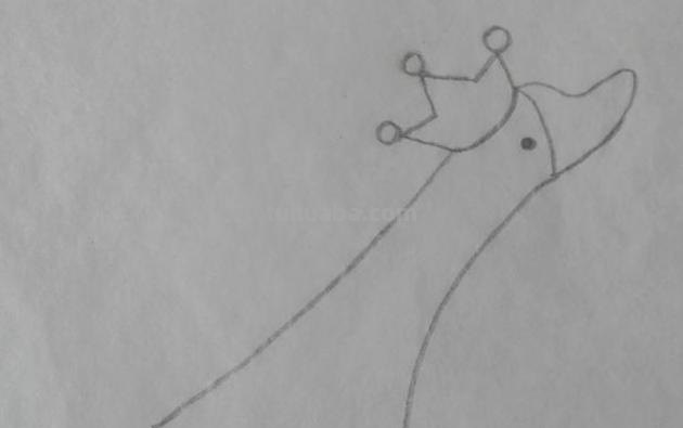 白鹅怎么画简笔画(白鹅怎么画简笔画图片) 白鹅怎么画简笔画(白鹅怎么画简笔画图片)